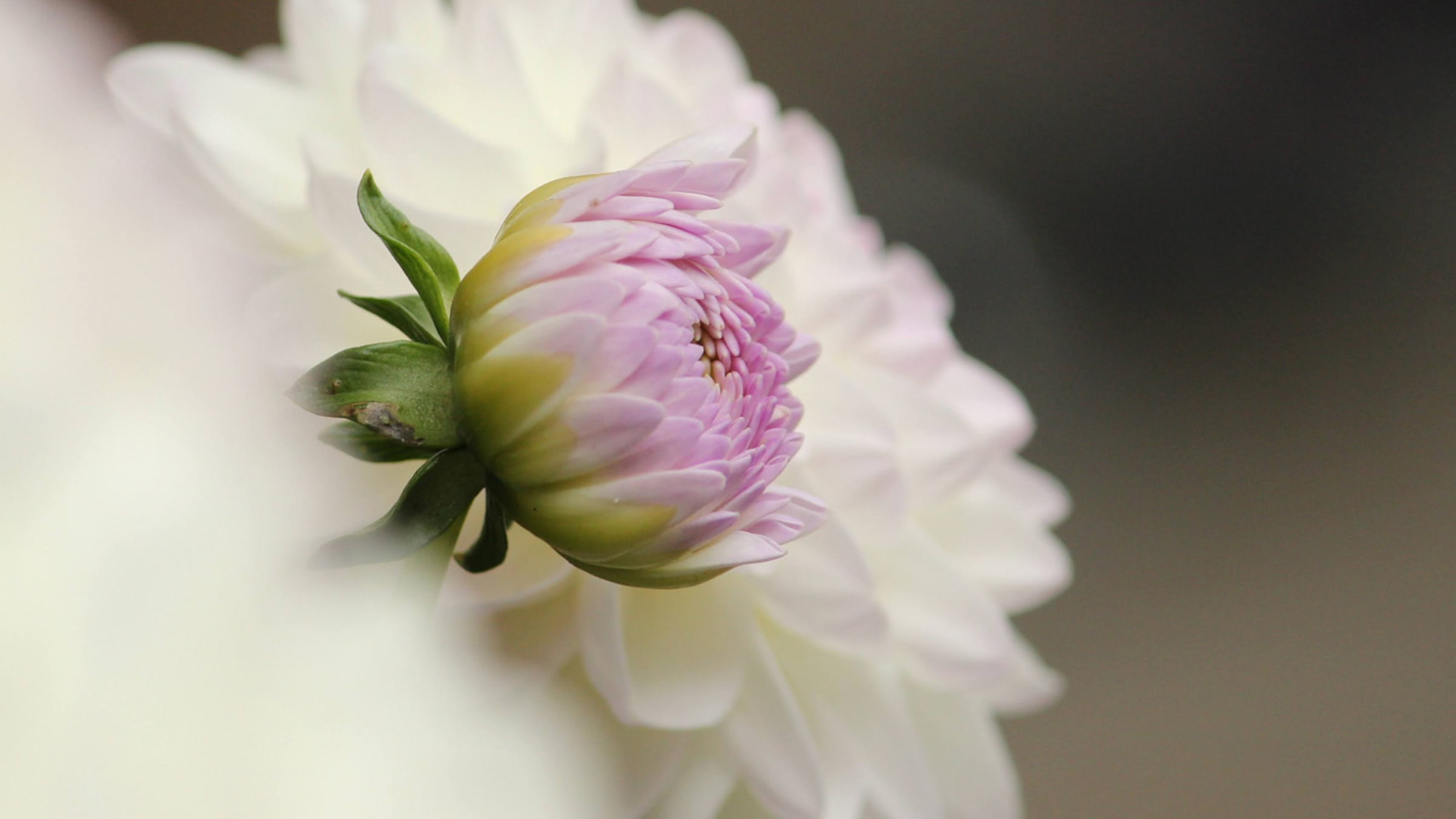 Beitragsempfehlungen zum Thema Selbstachtung