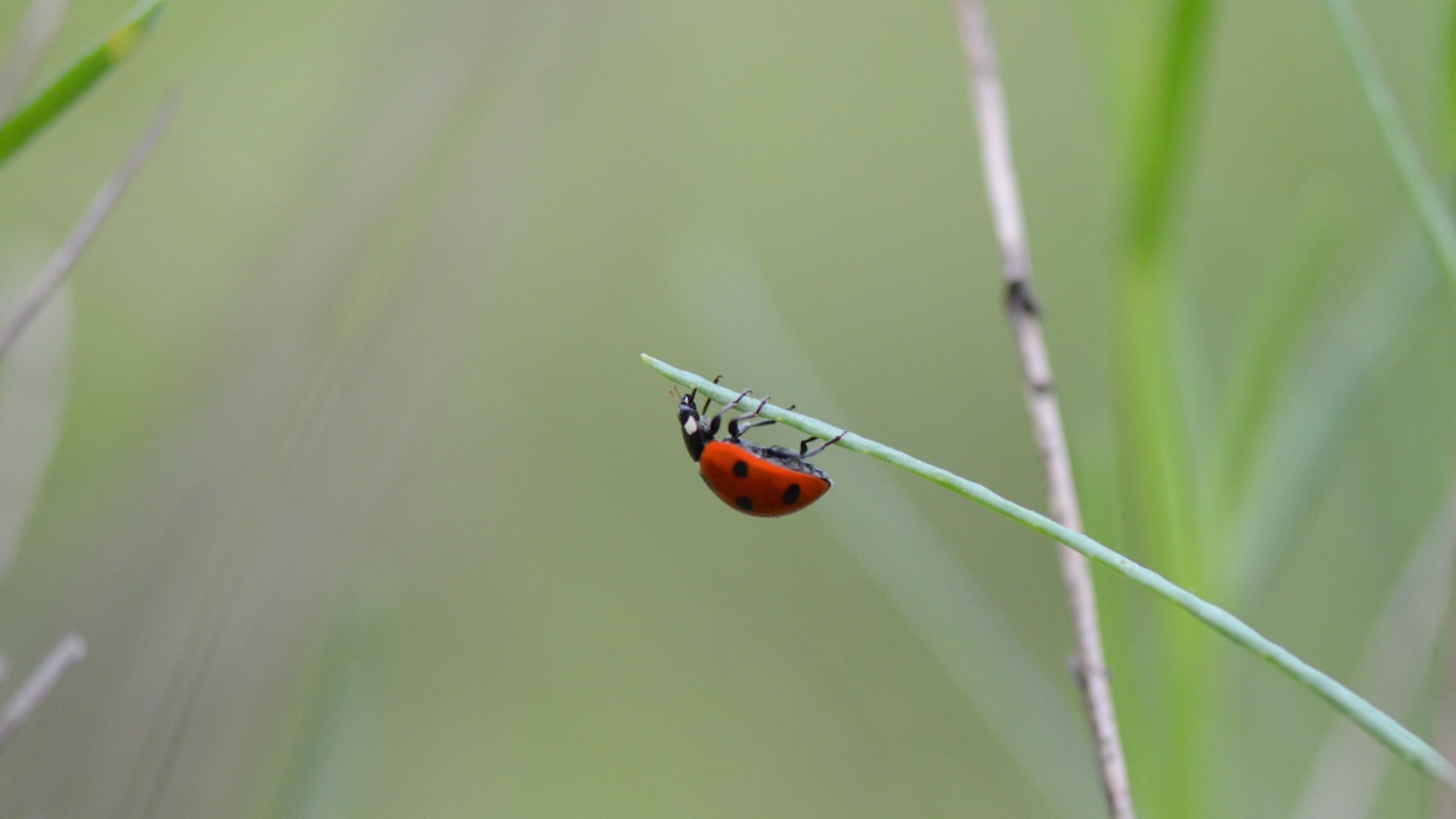 Mehr Glücksmomente ins Leben bringen