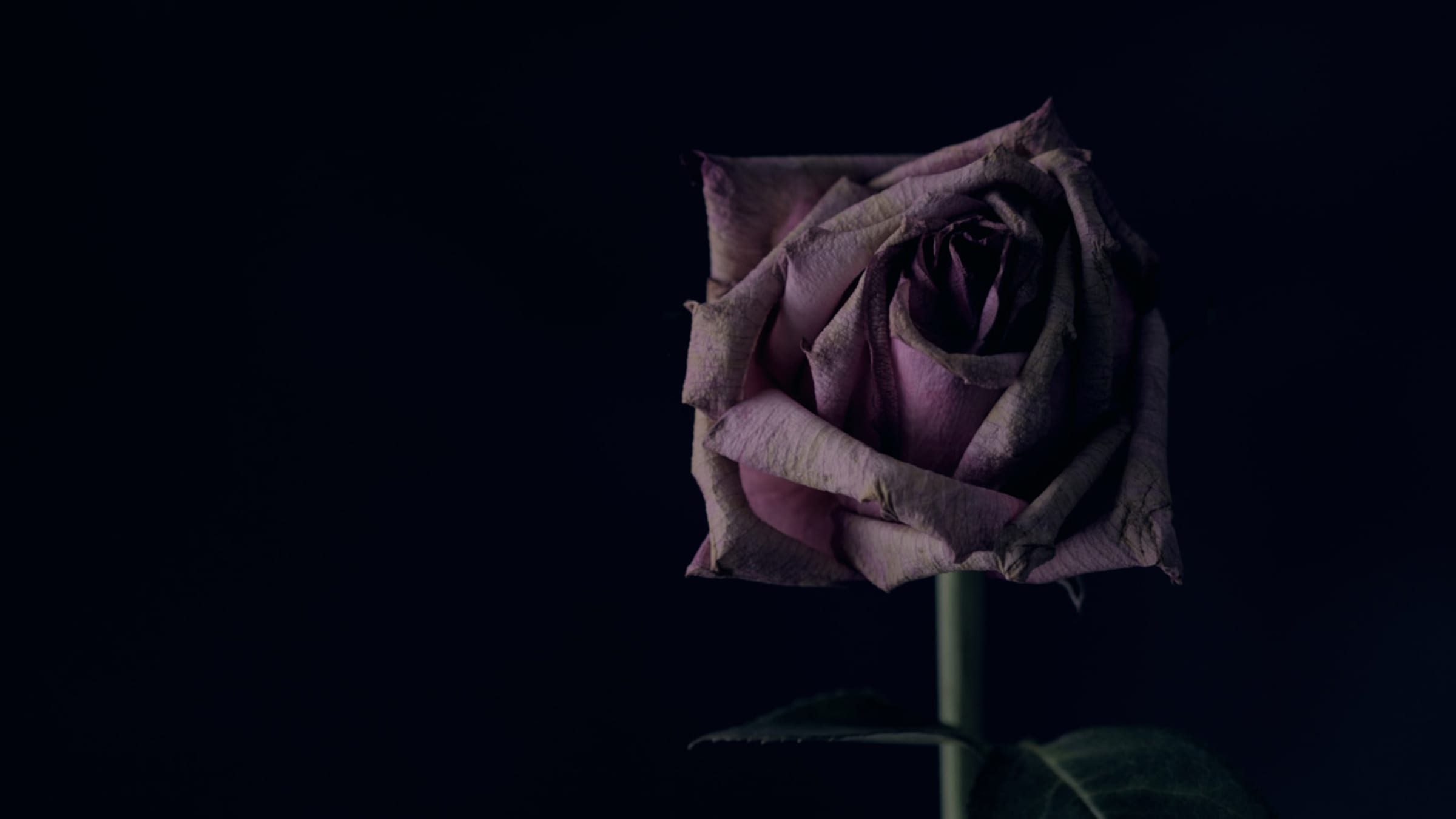 Liebeskummer (Broken Heart Syndrom)