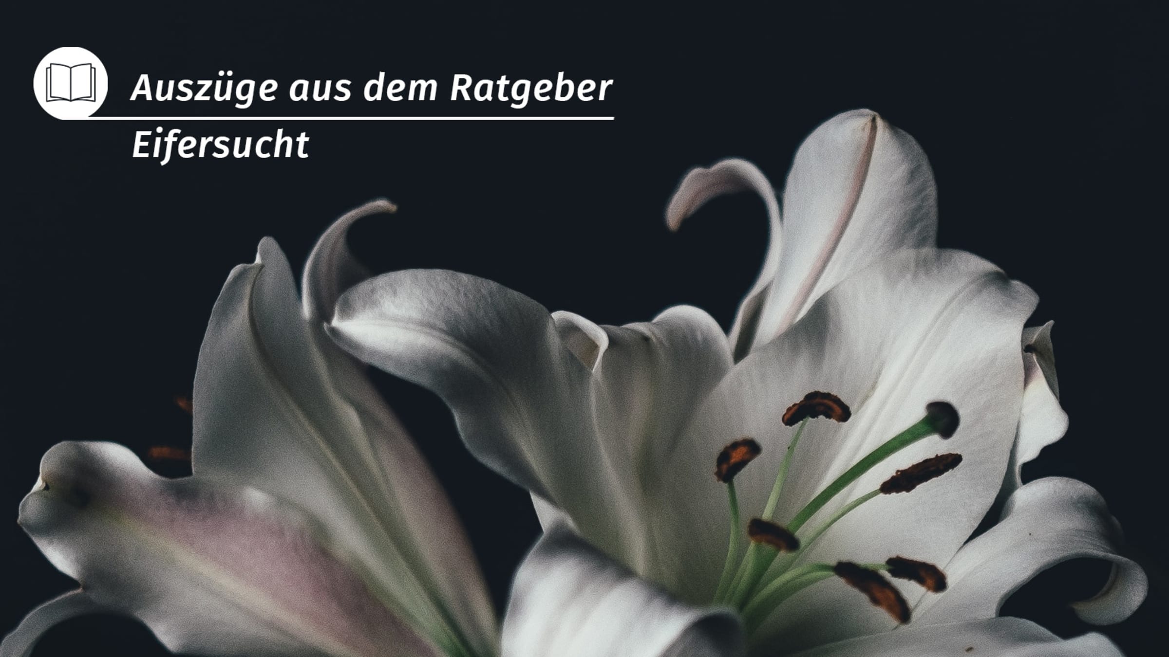 Die Gesichter der Eifersucht