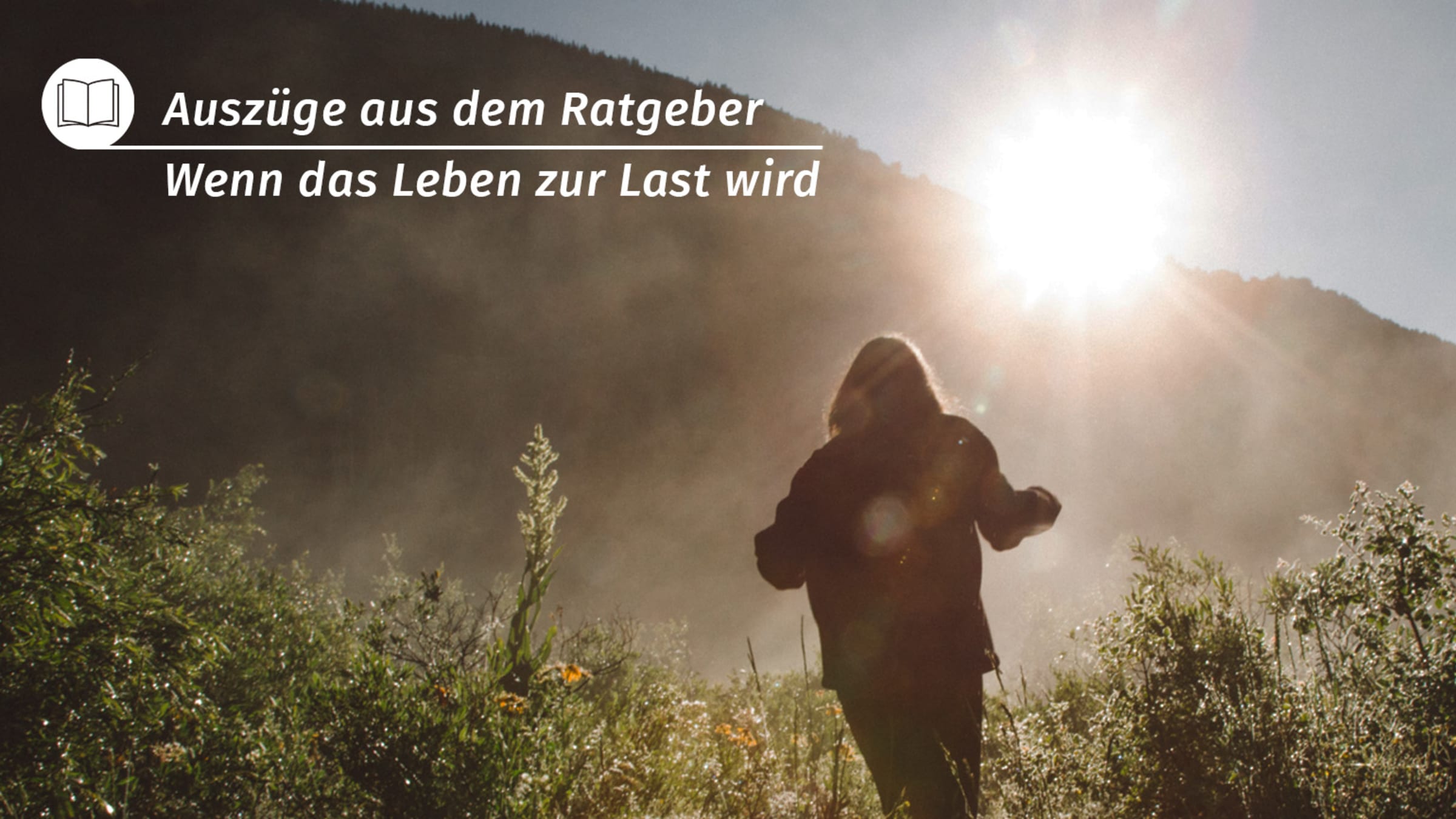 Ins Leben zurückkehren