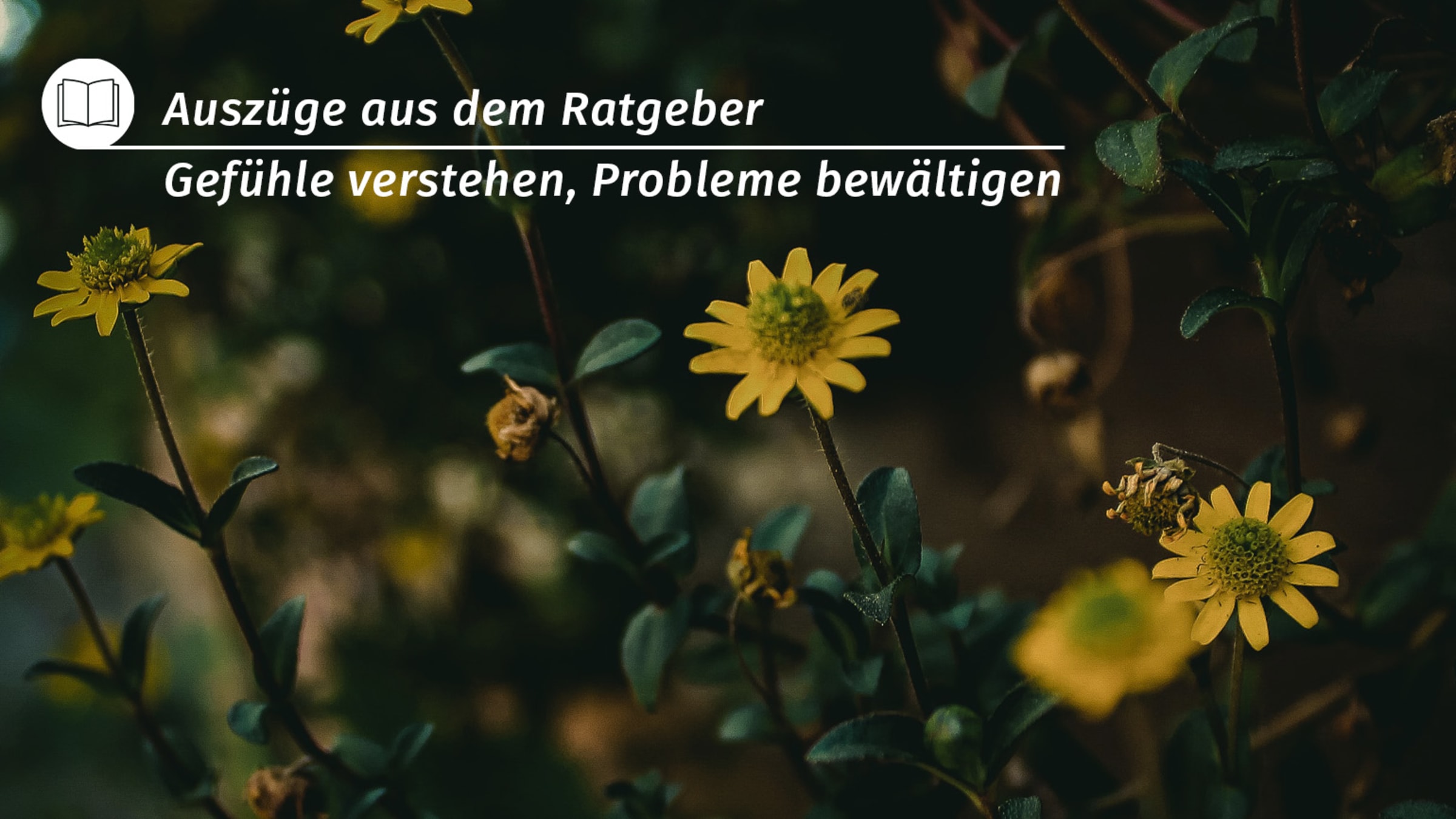 Gefühle verstehen, Probleme bewältigen