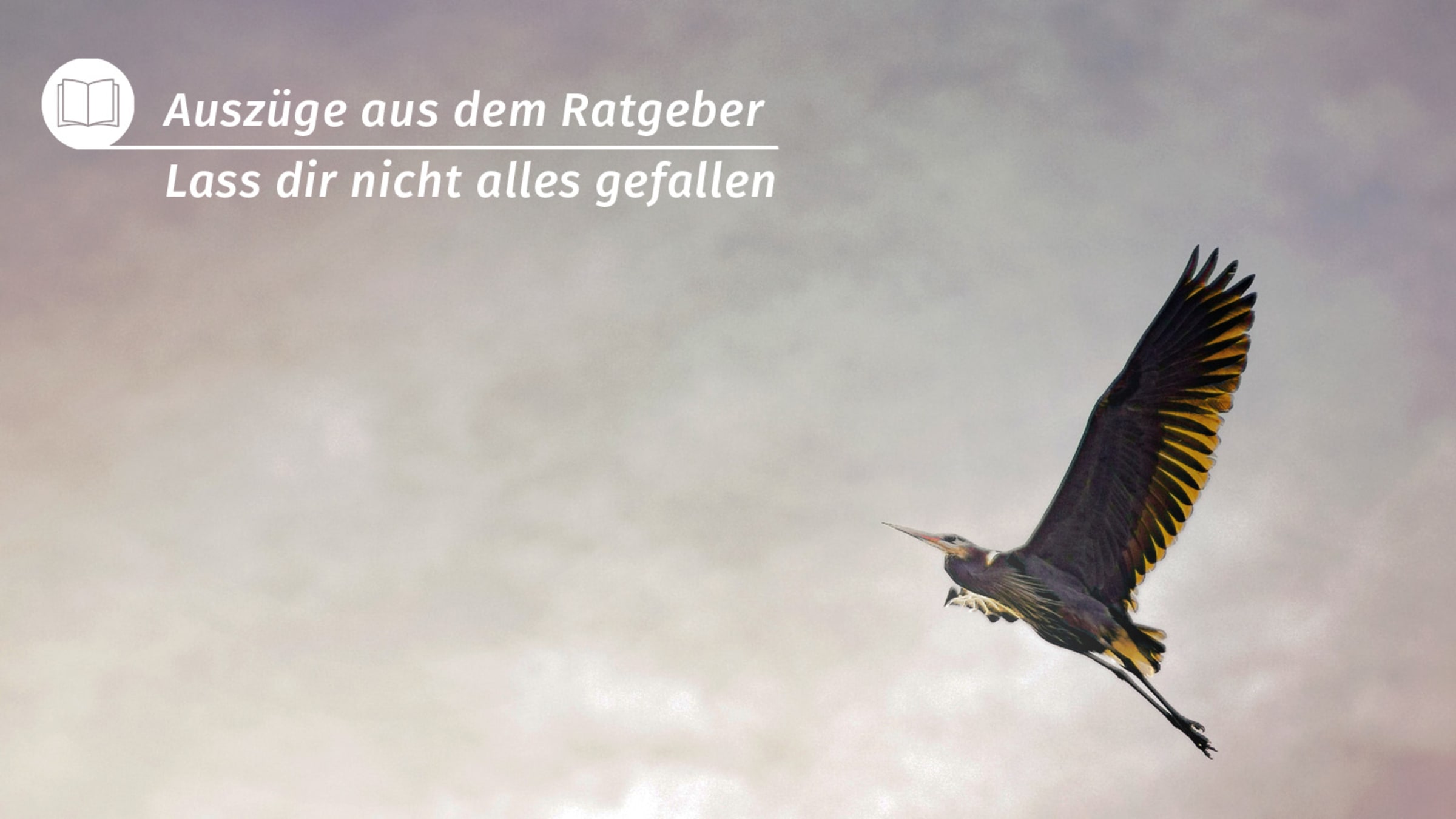 Ratgeber Selbstbewusstsein stärken