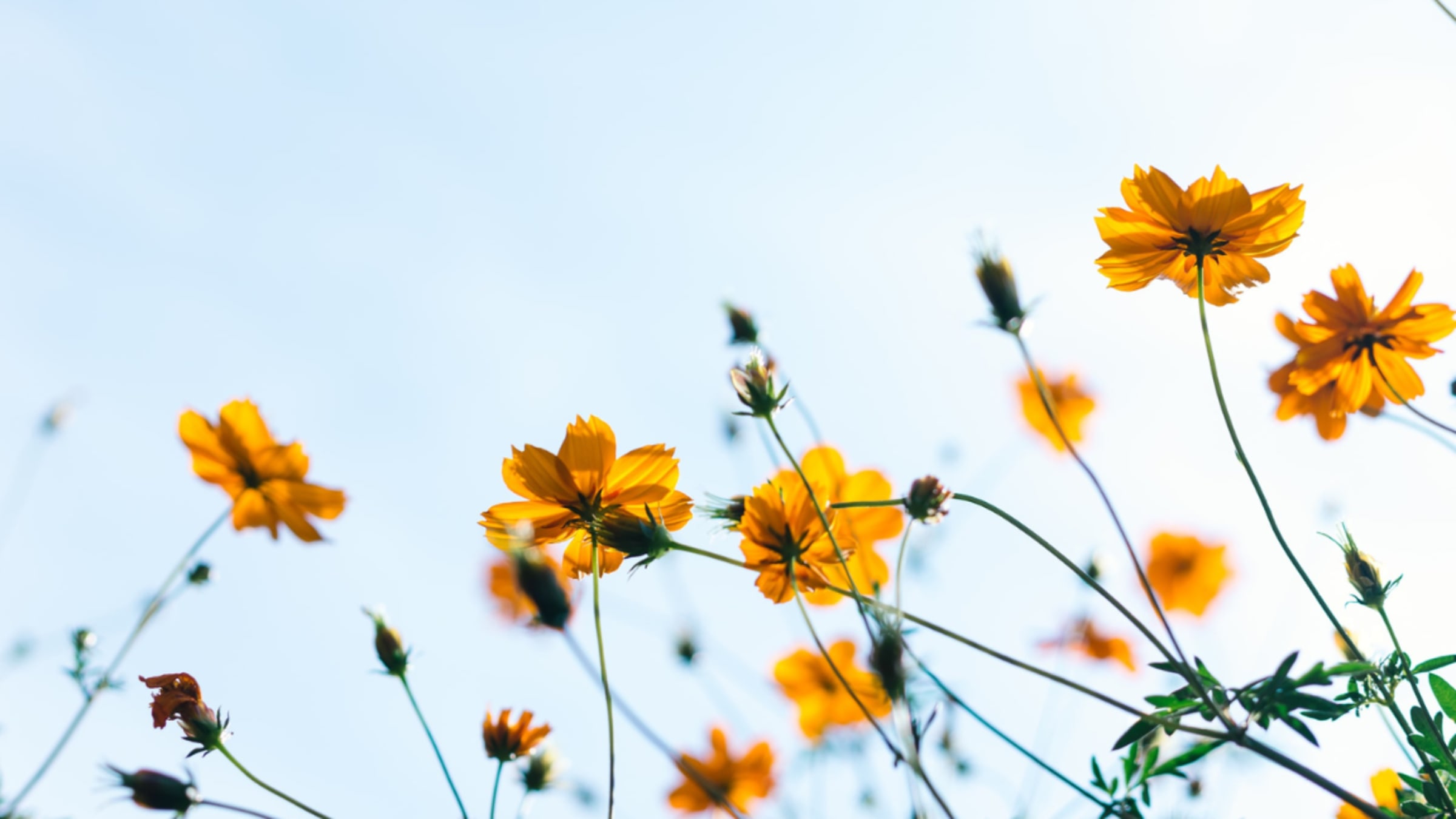 Das Alter ist kein Abstellgleis: 5 Tipps für ein erfülltes Alter