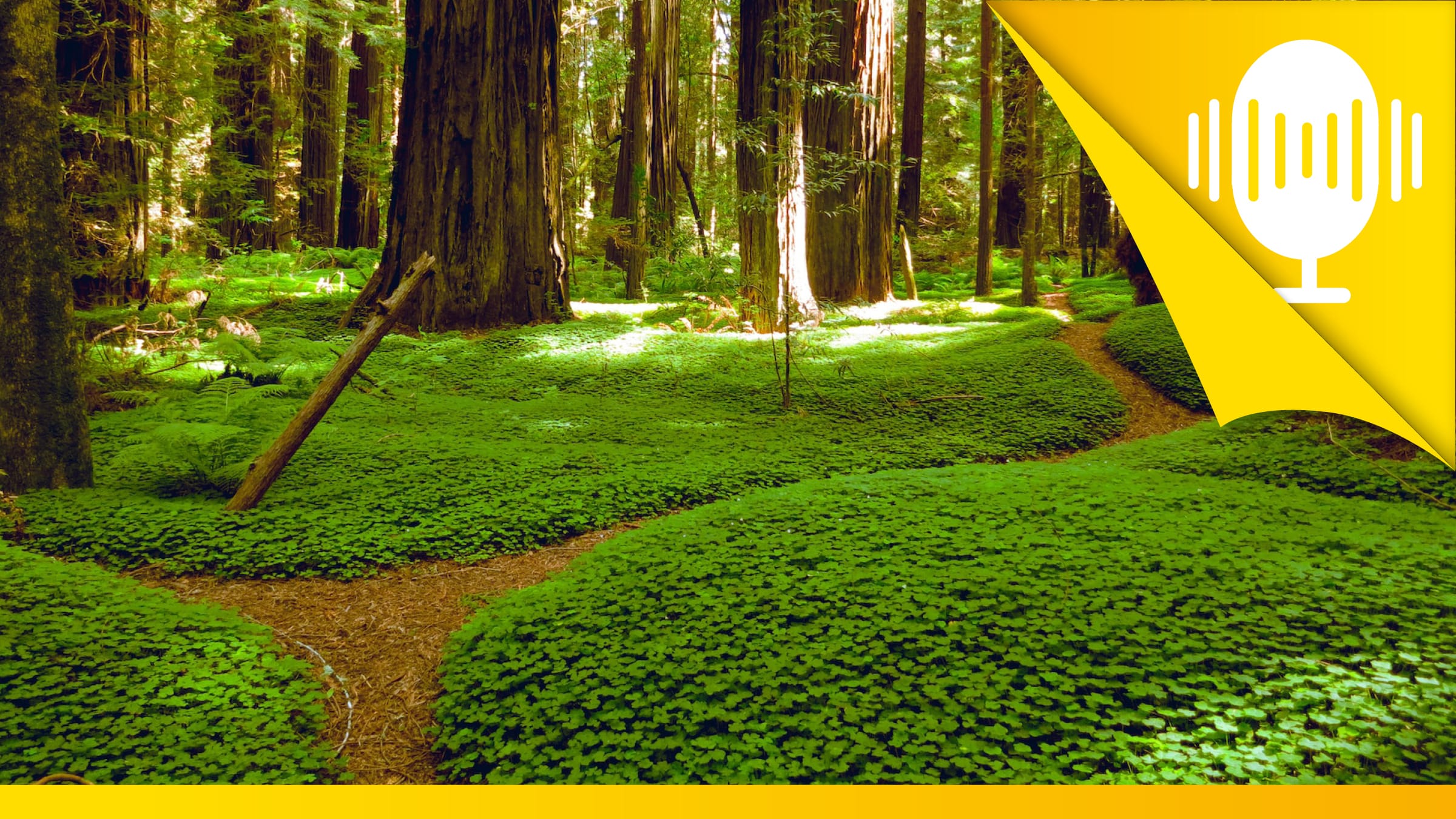 Bin ich auf dem richtigen Weg? – Podcast #2