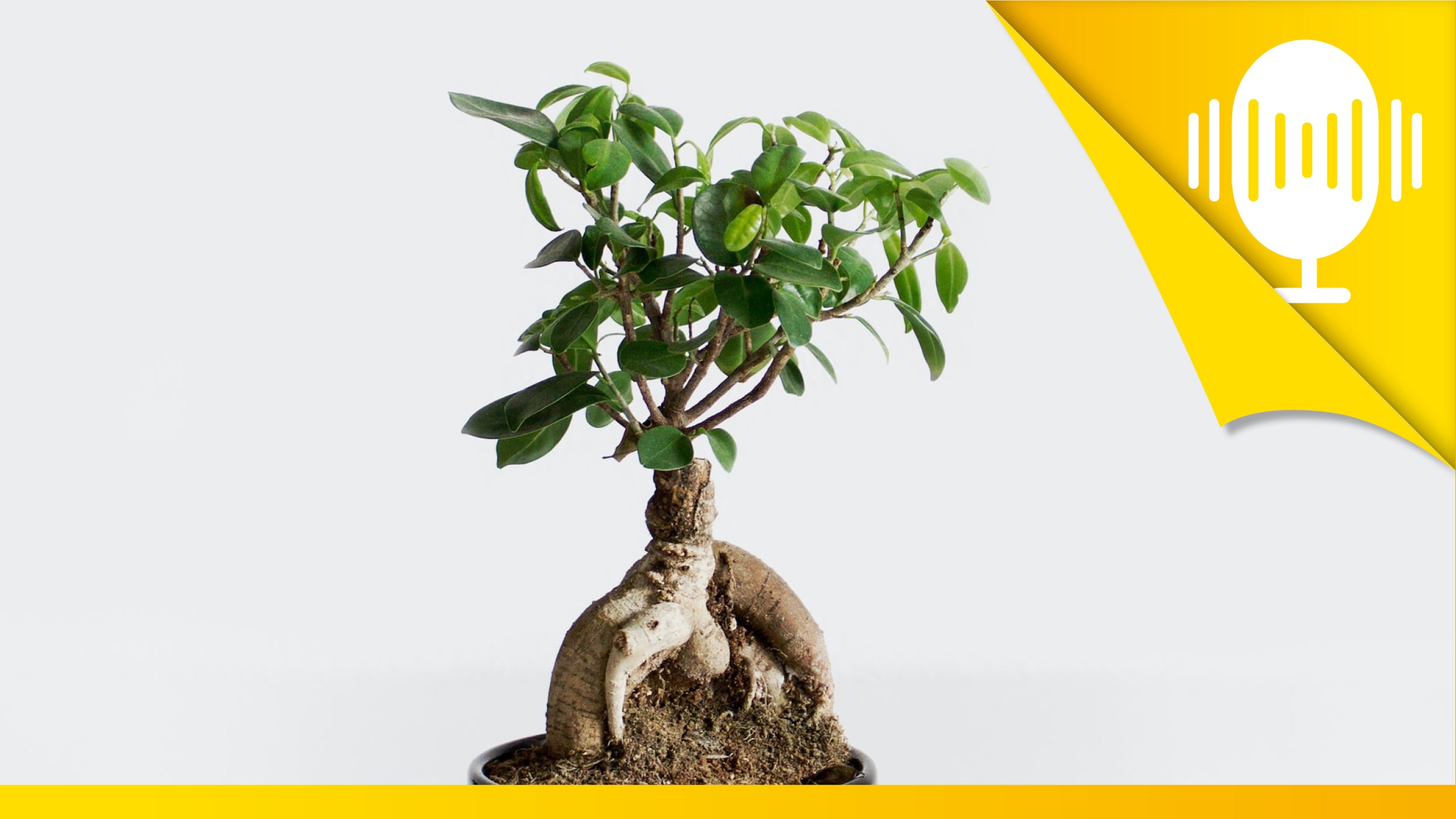 Du bist einzigartig und unvergleichlich – Podcast #20