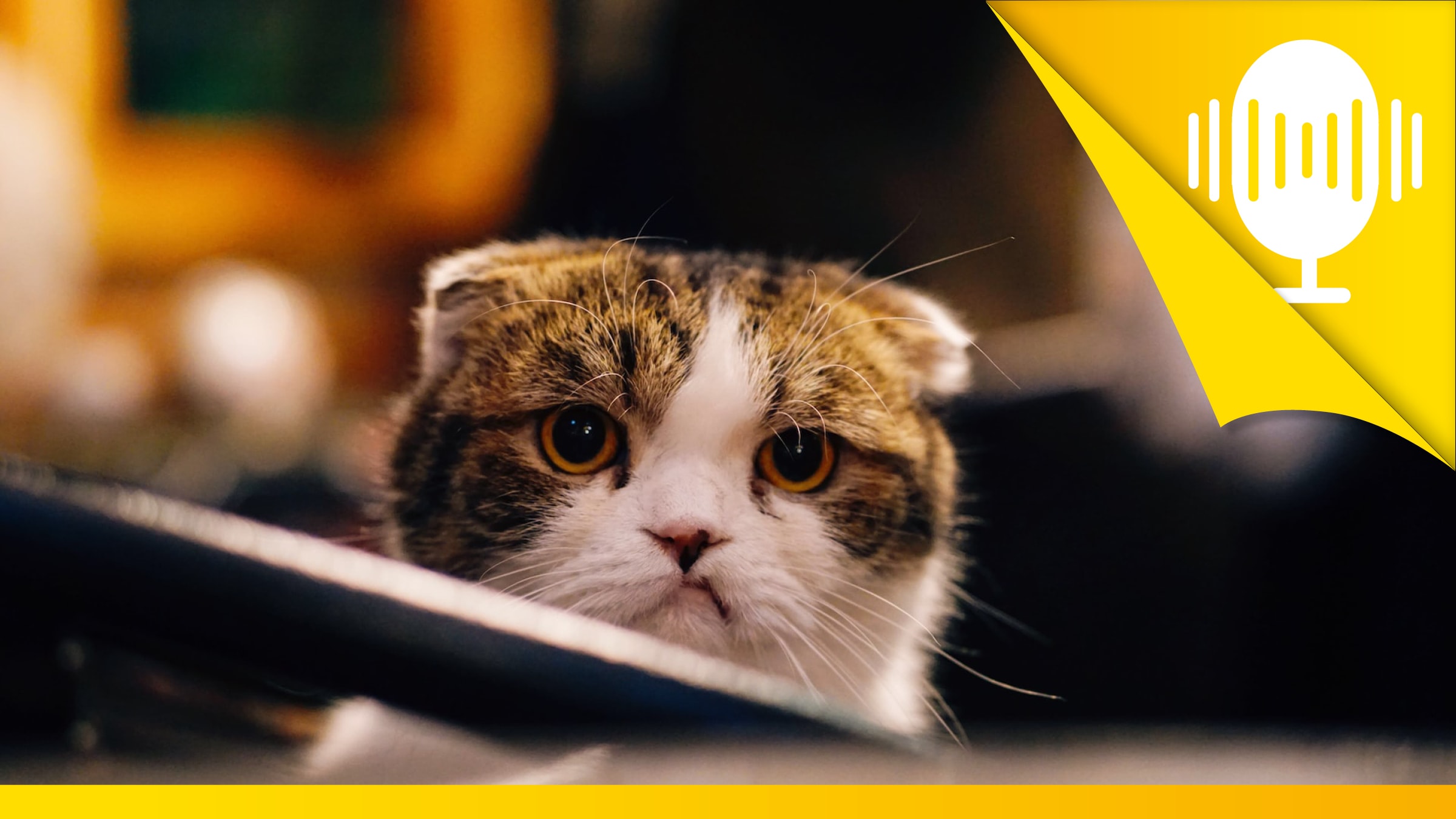 Ärgere dich nicht über das Verhalten von anderen – Podcast #24