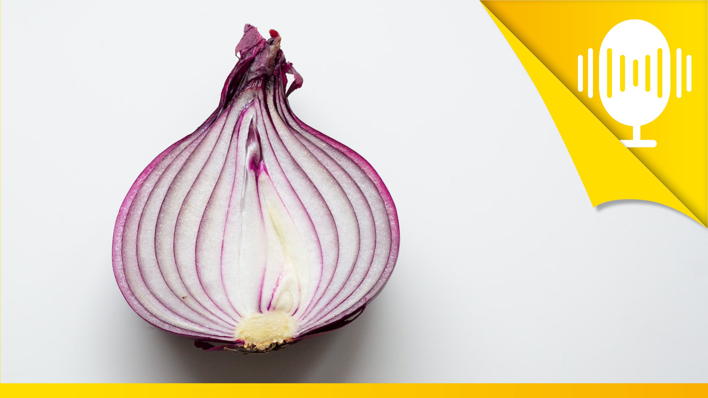 Mit dem Zwiebelprinzip Zukunftsängste überwinden – Podcast #93