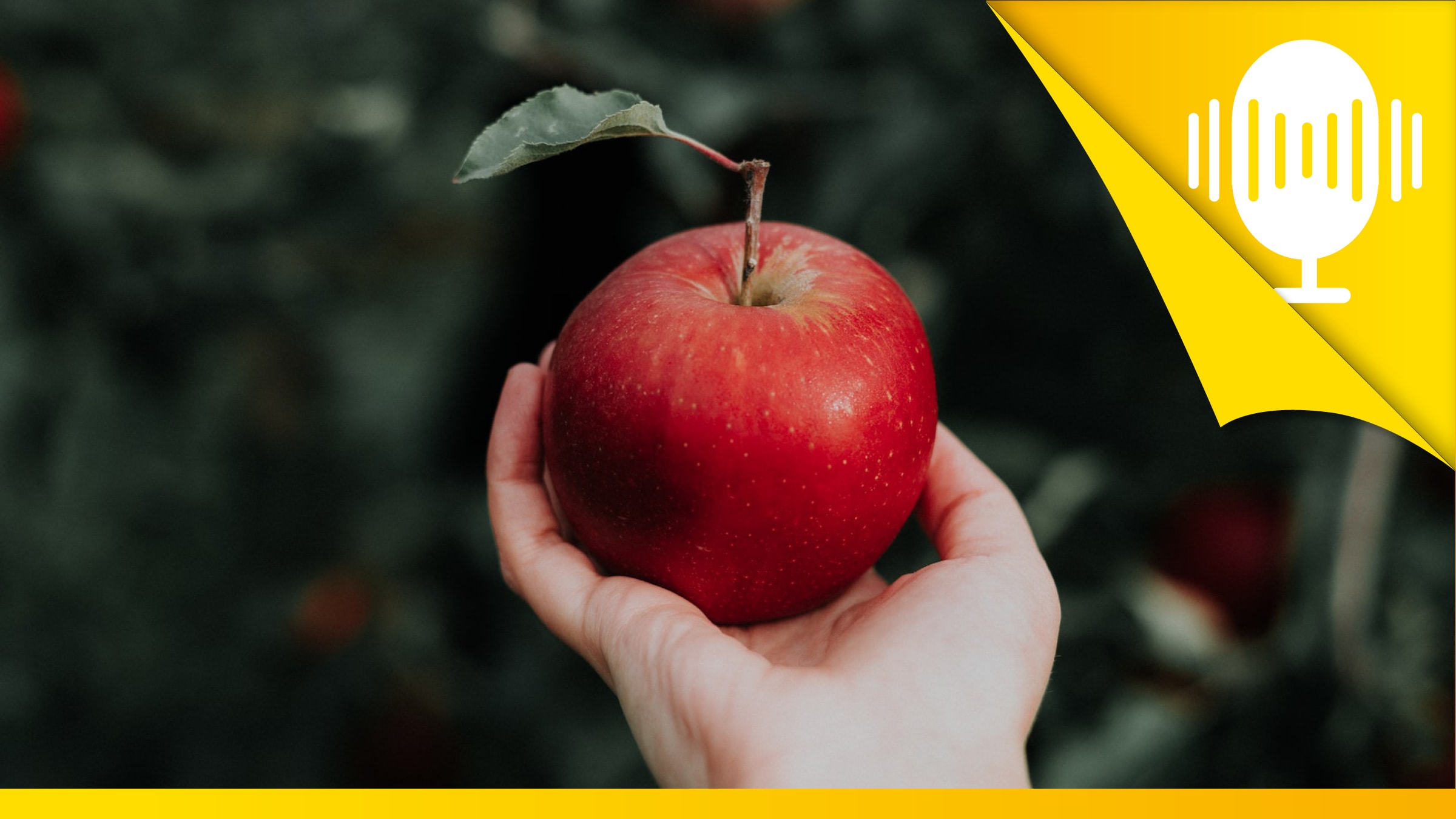 Neid ist ein Hinweis und Motor für Veränderung – Podcast #78