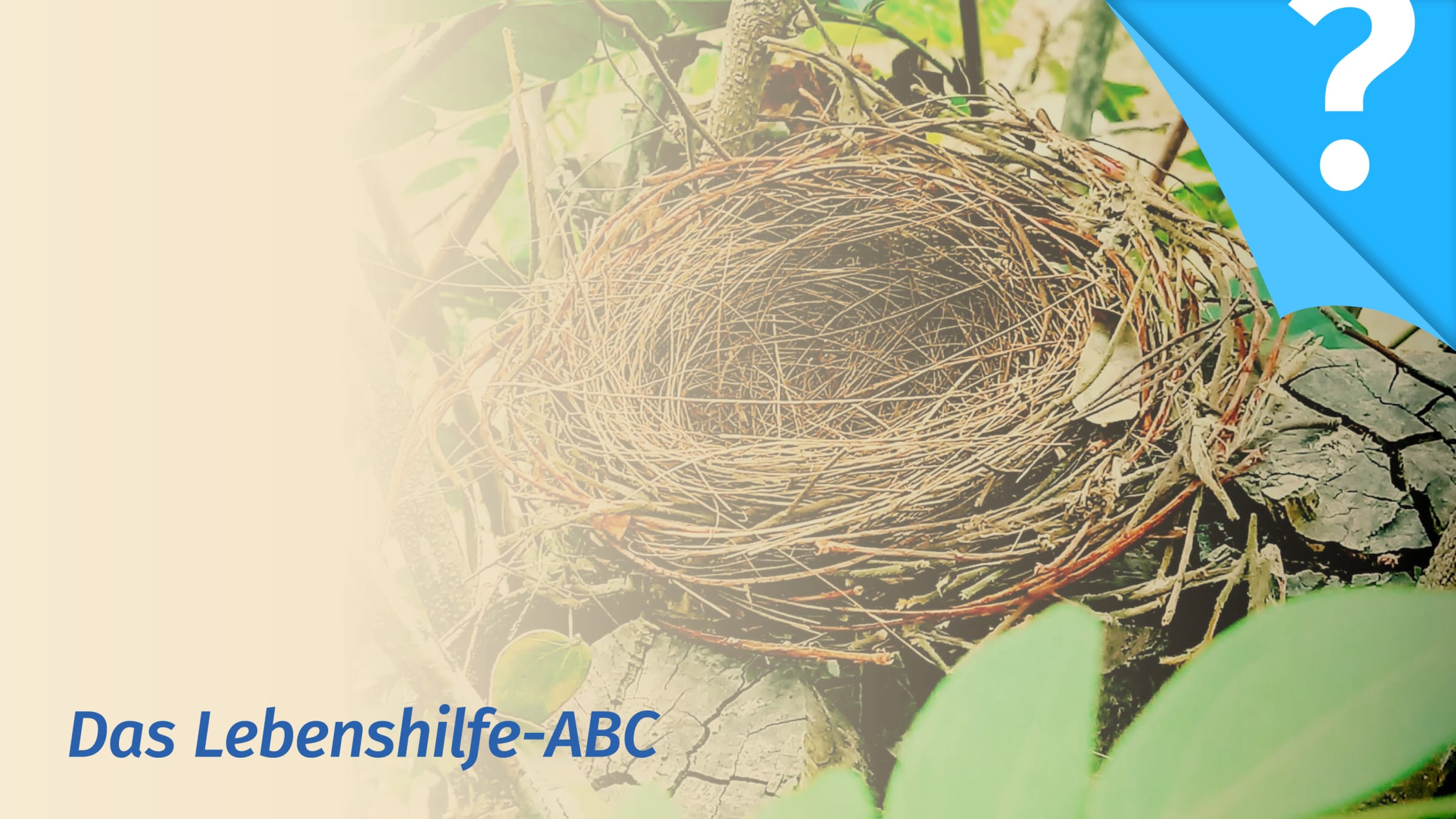 Das Empty Nest-Syndrom überwinden