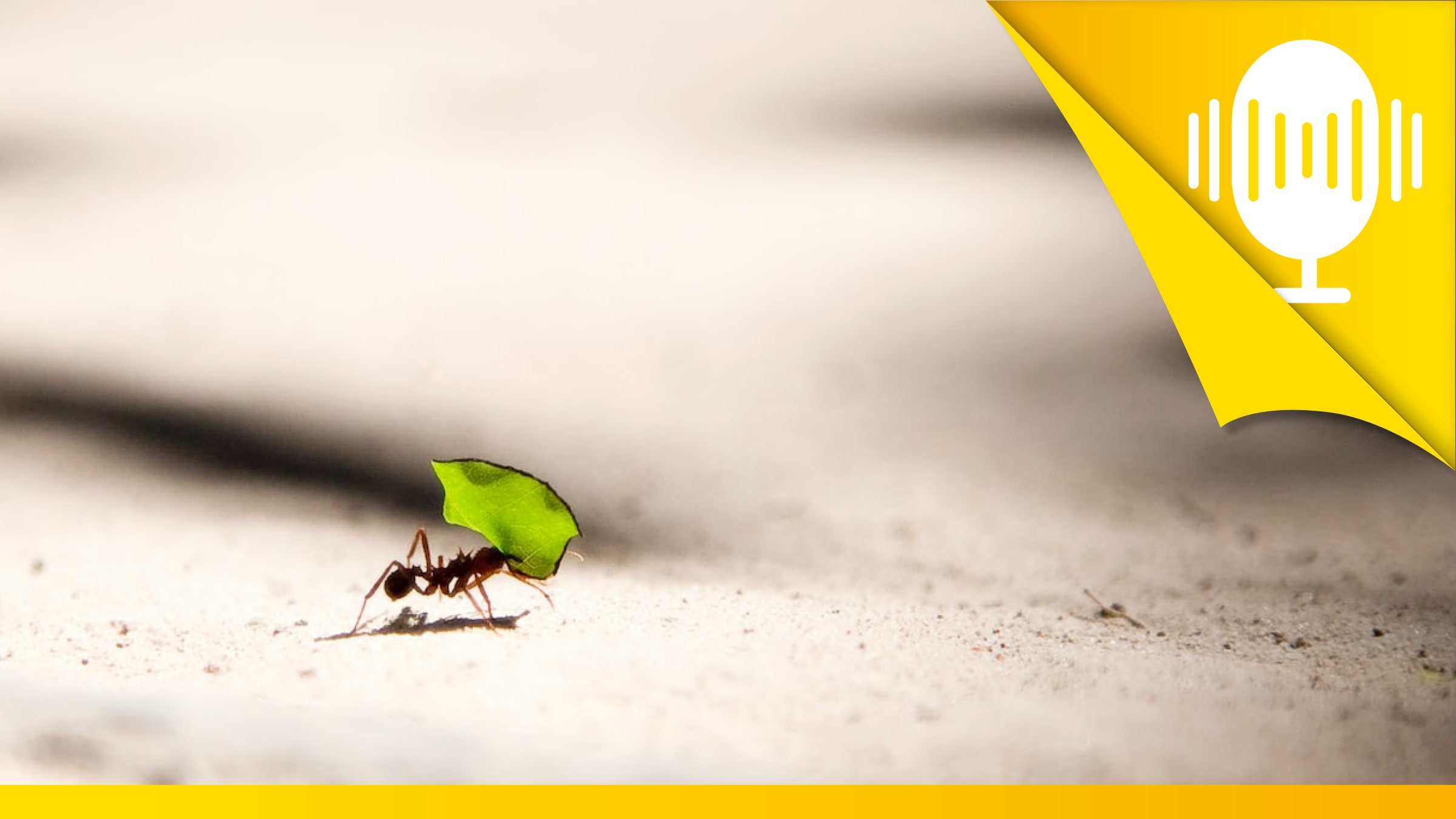 Spüre die Kraft, die in dir steckt! – Podcast #69