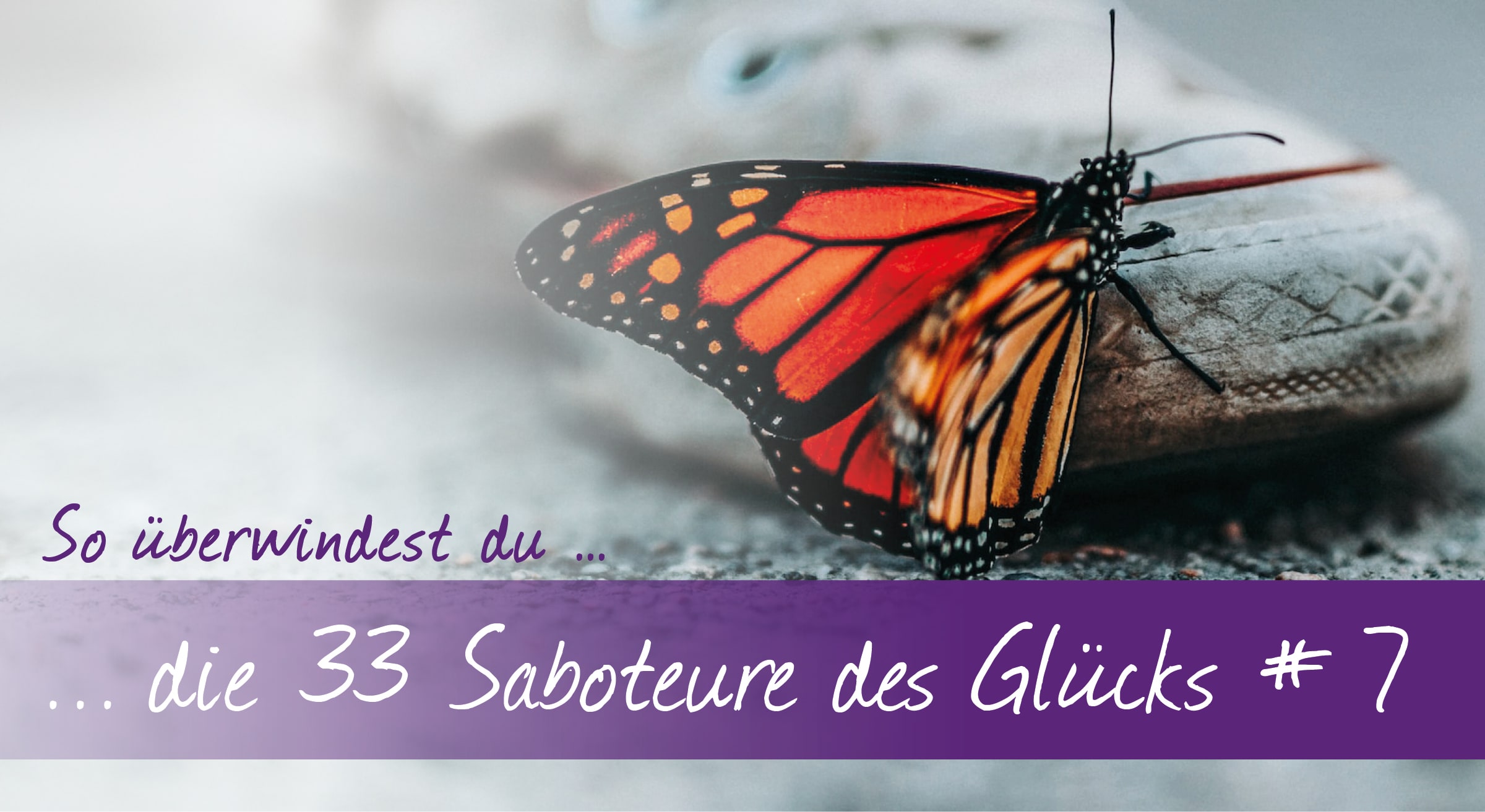 Sei nie zufrieden mit dem, was du hast.