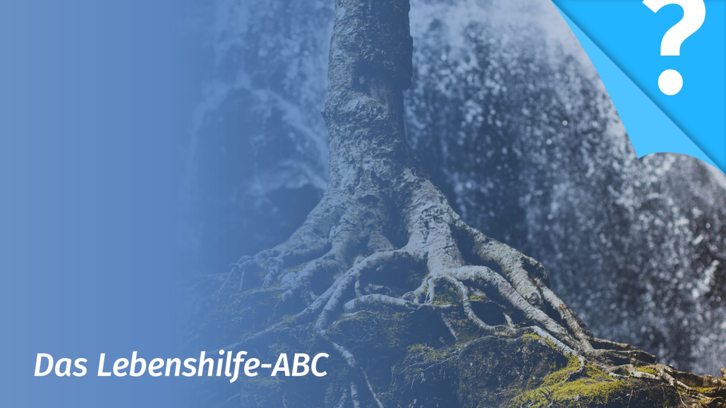 Emotionale Labilität – Emotionale Stabilität