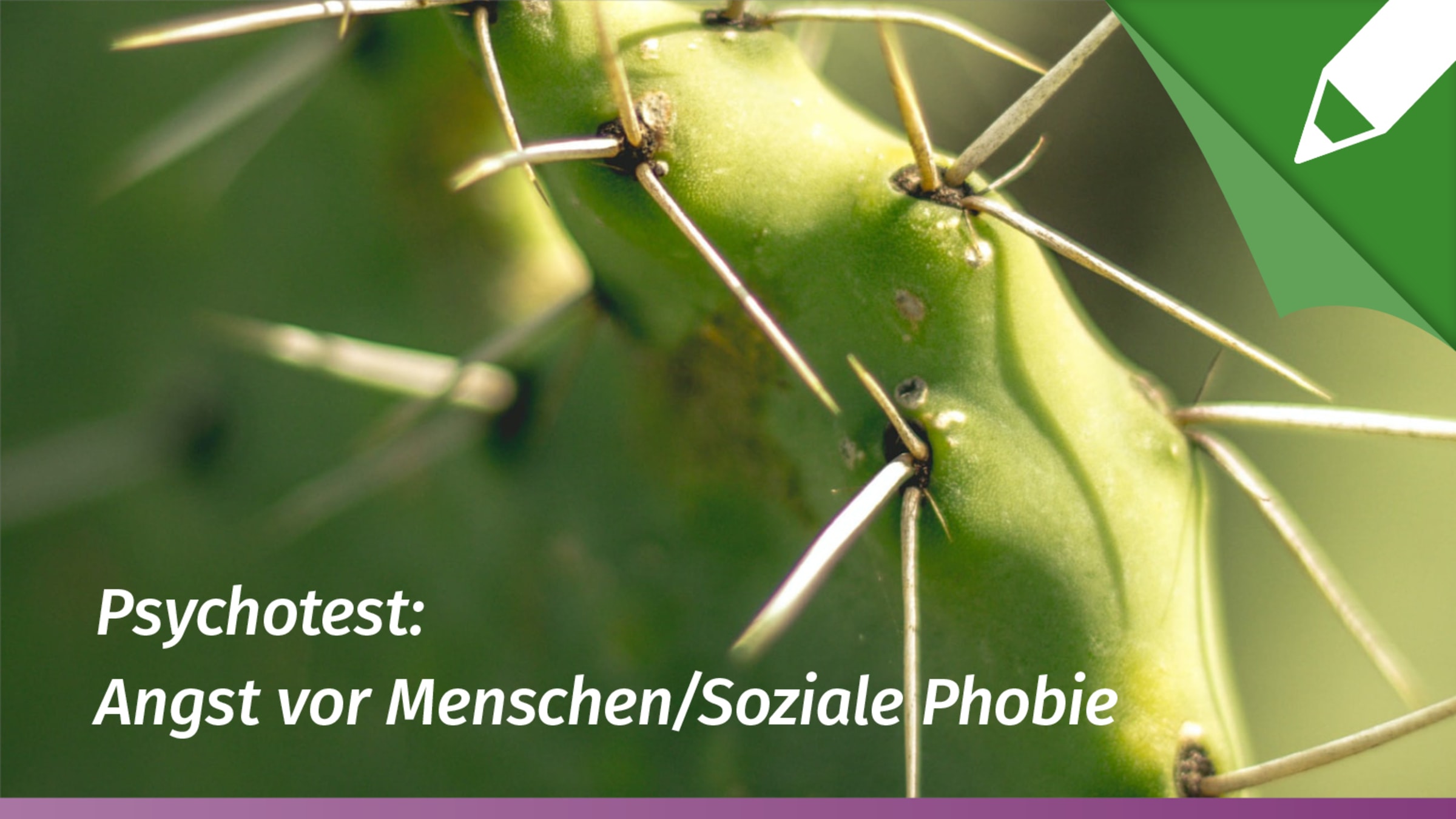 Psychotest Soziale Angst (Soziale Phobie)