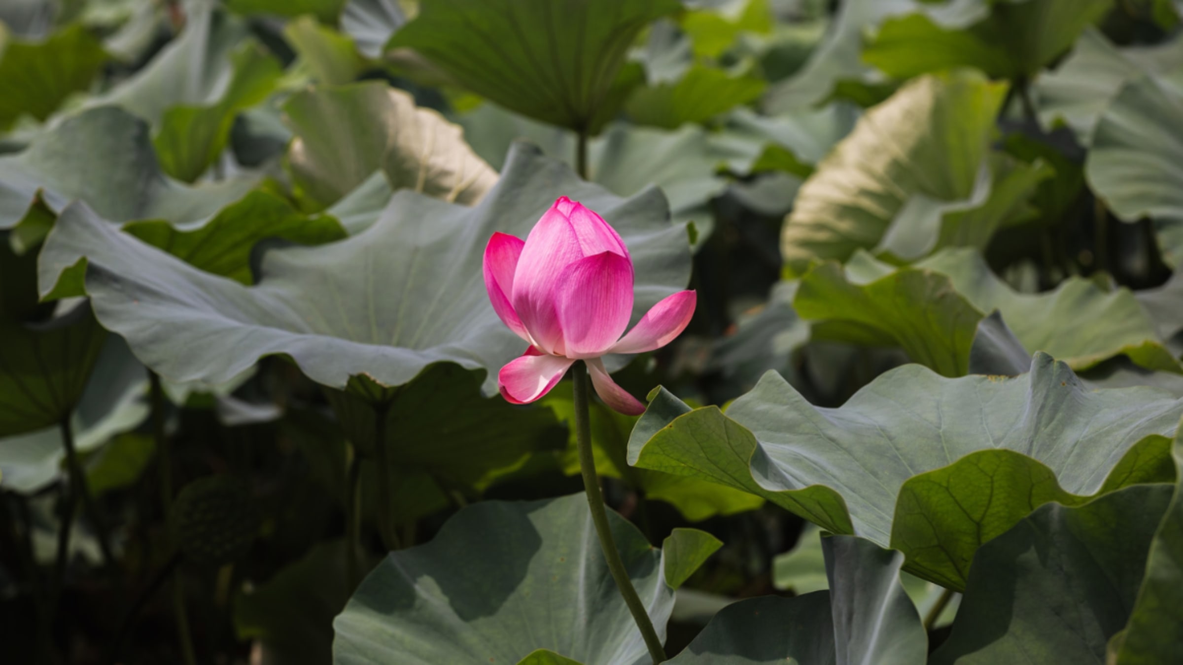 Unzufriedenheit: 7 Dinge, die Sie sich nicht antun dürfen