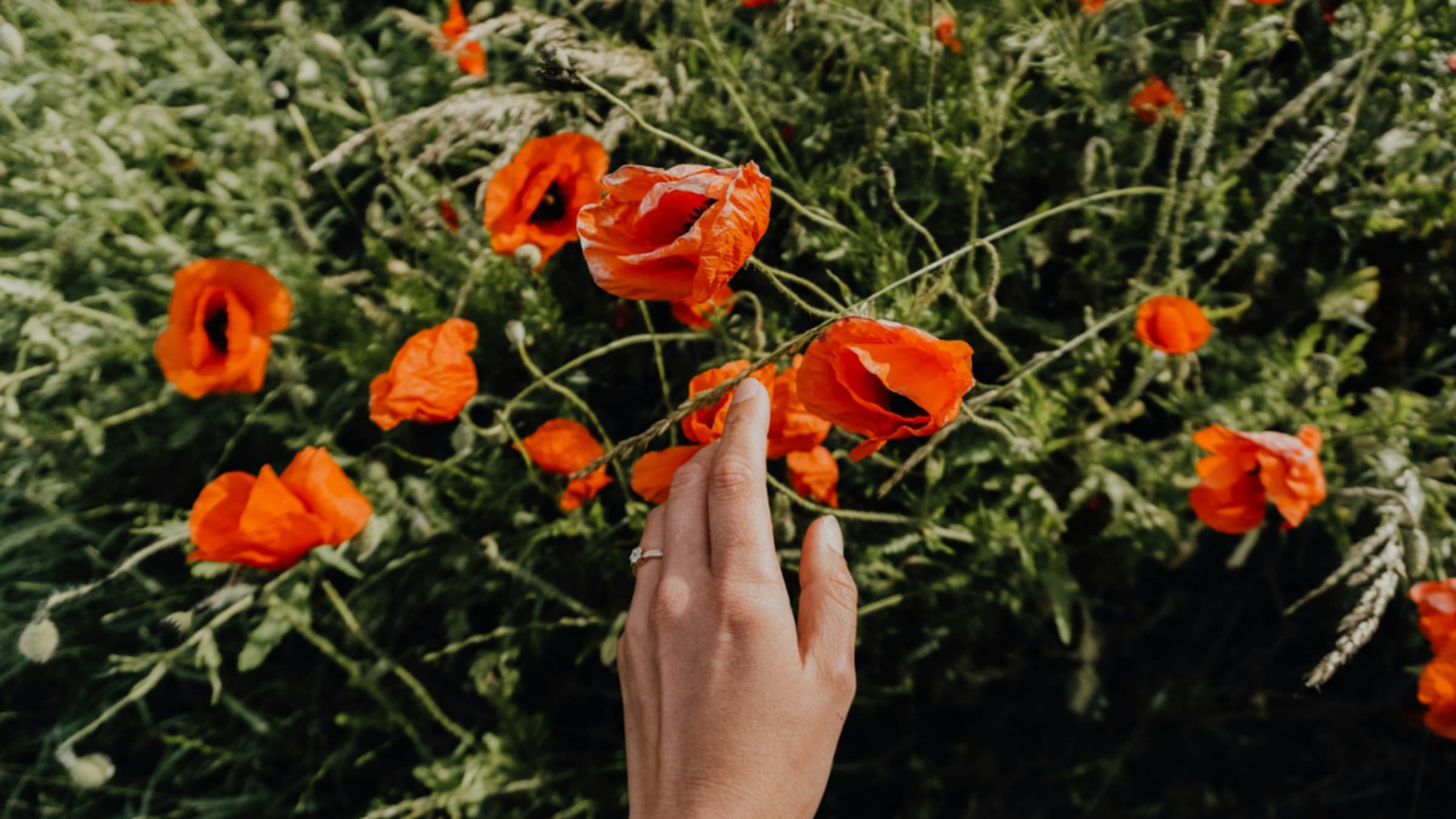 Haptische Wahrnehmung: Berühre und du wirst berührt