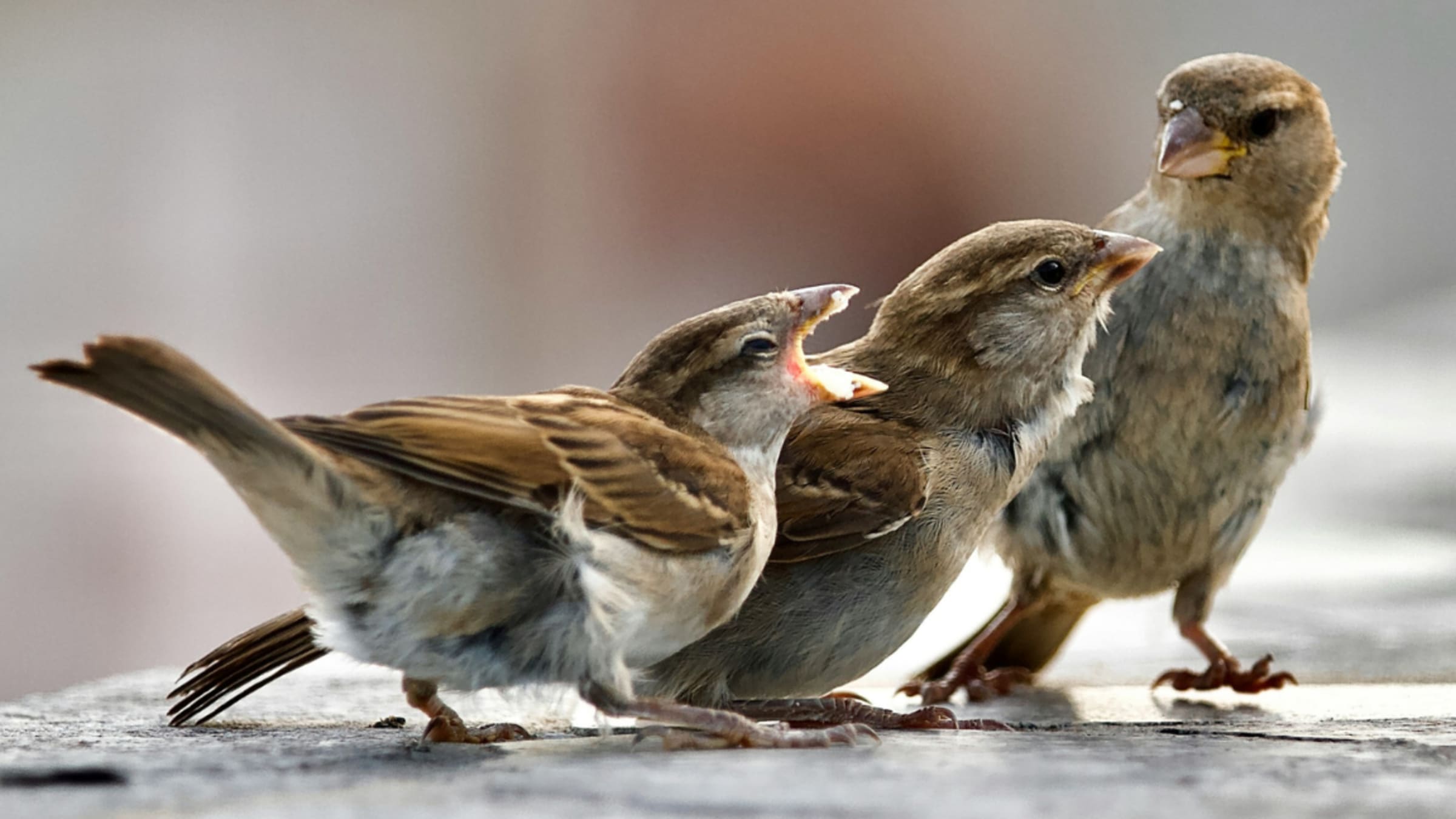 Wie können wir besser mit Nervensägen und komplizierten Menschen umgehen?