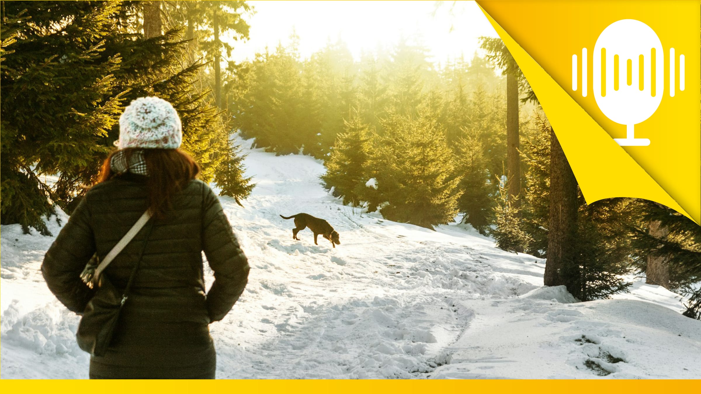 Schließe Frieden mit dem Unerreichbaren und Unerreichten – Podcast #143