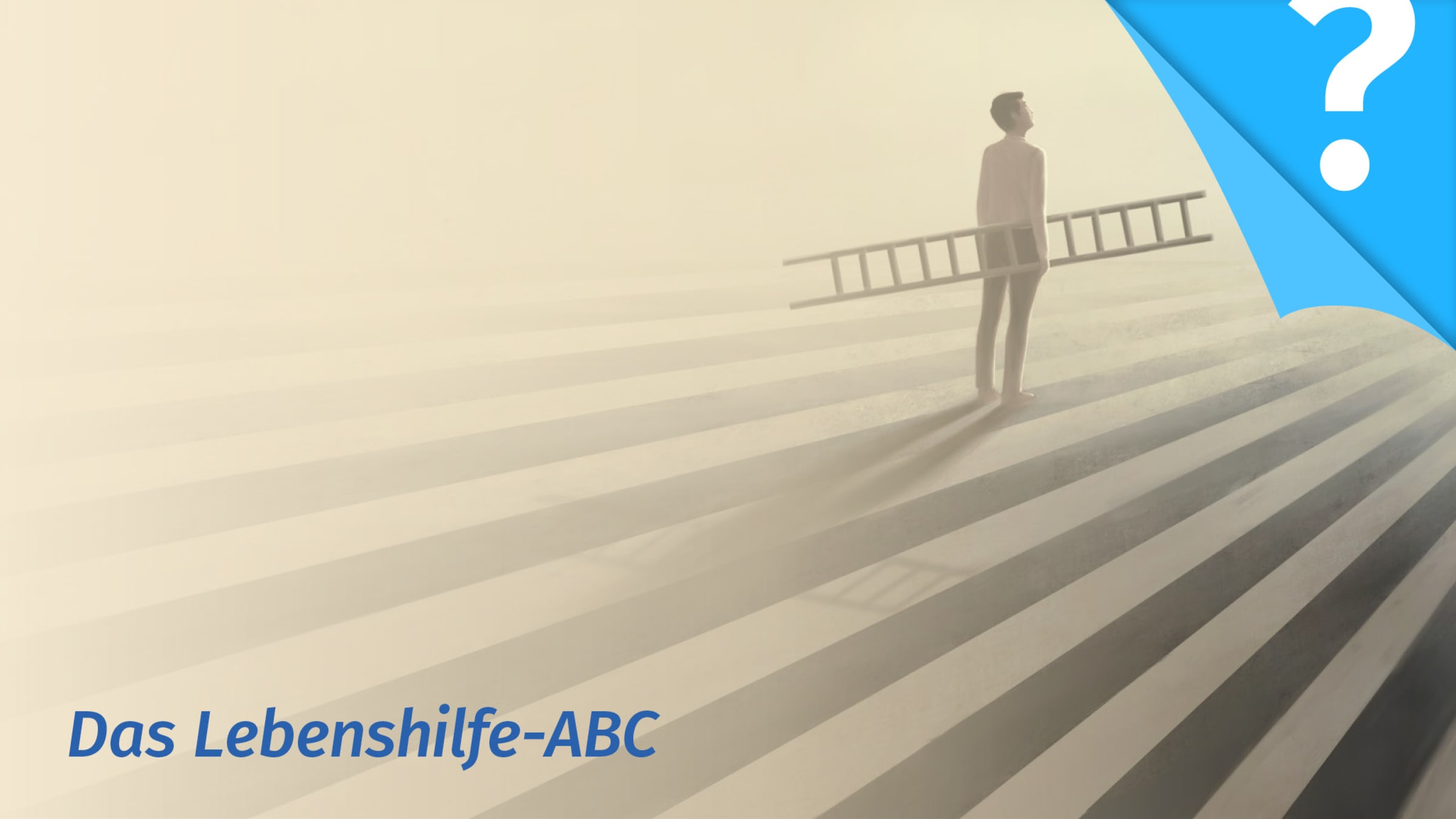 Lernen durch Einsicht