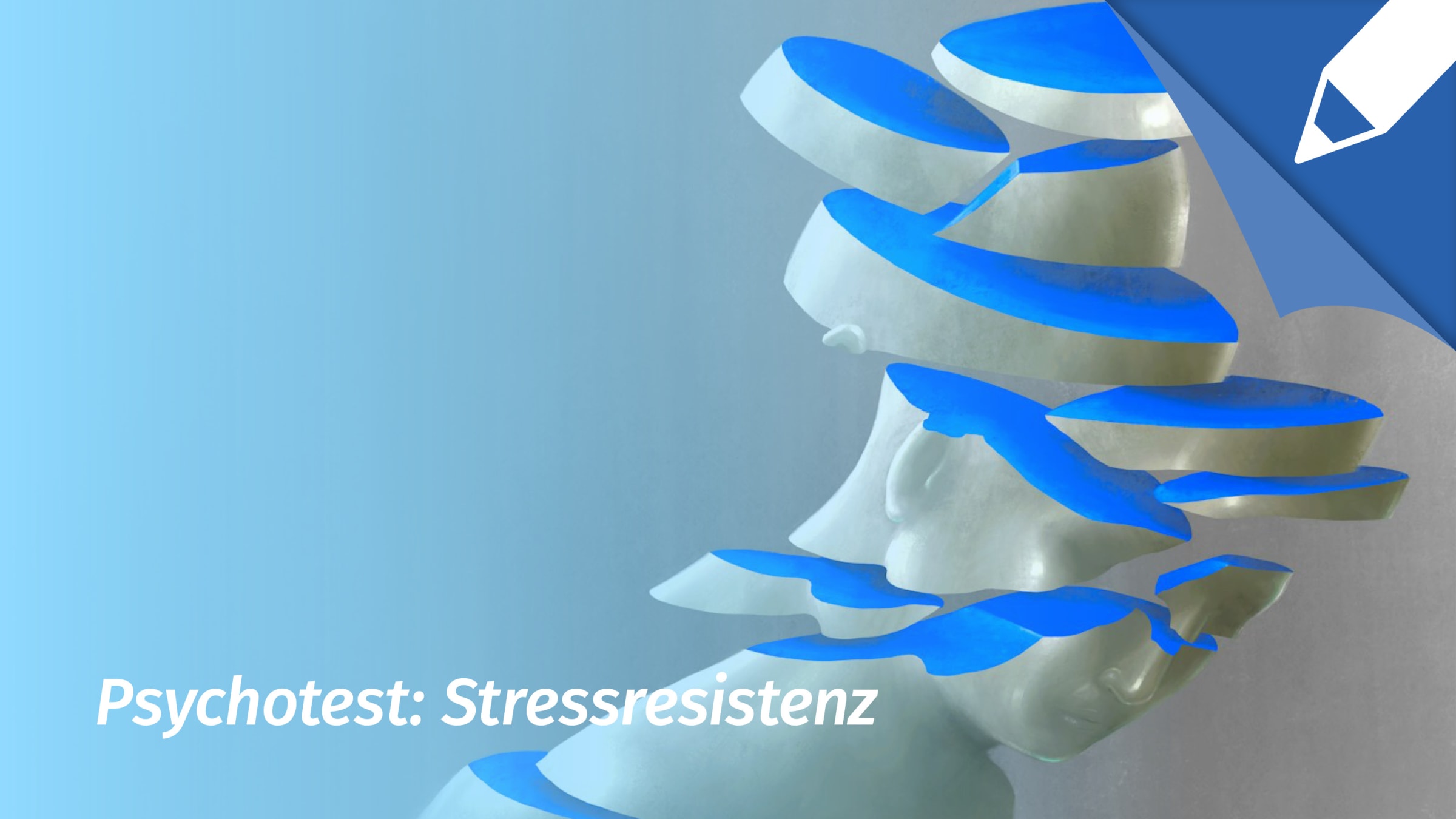 Psychotest Stress: Wie stark belastet mich Stress?