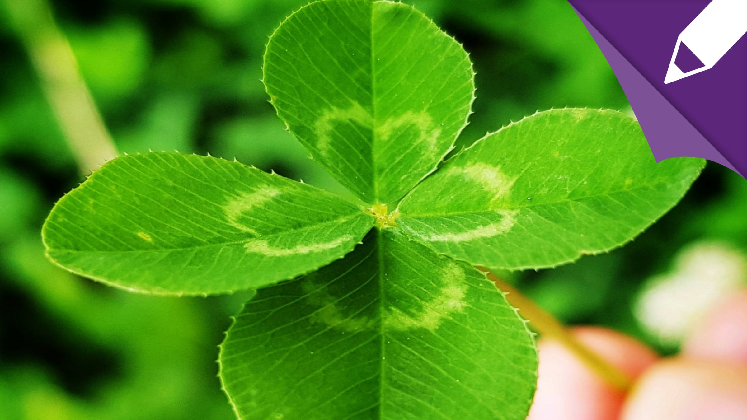 Glückstest: Gelingt es dir, die Saboteure des Glücks zu überwinden?