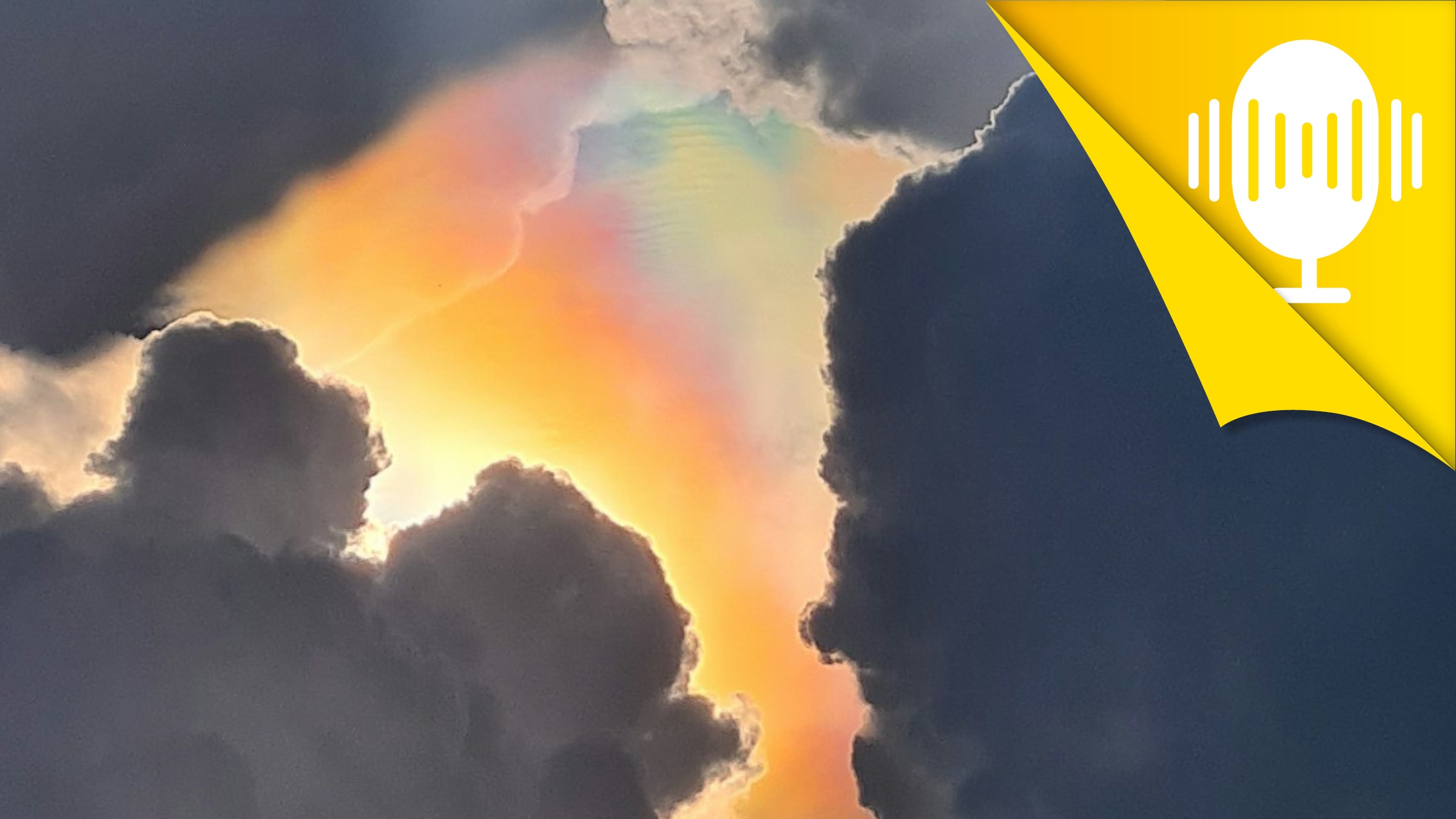 So gewinnst du Abstand zu Wut und Ärger auf andere – Podcast #163