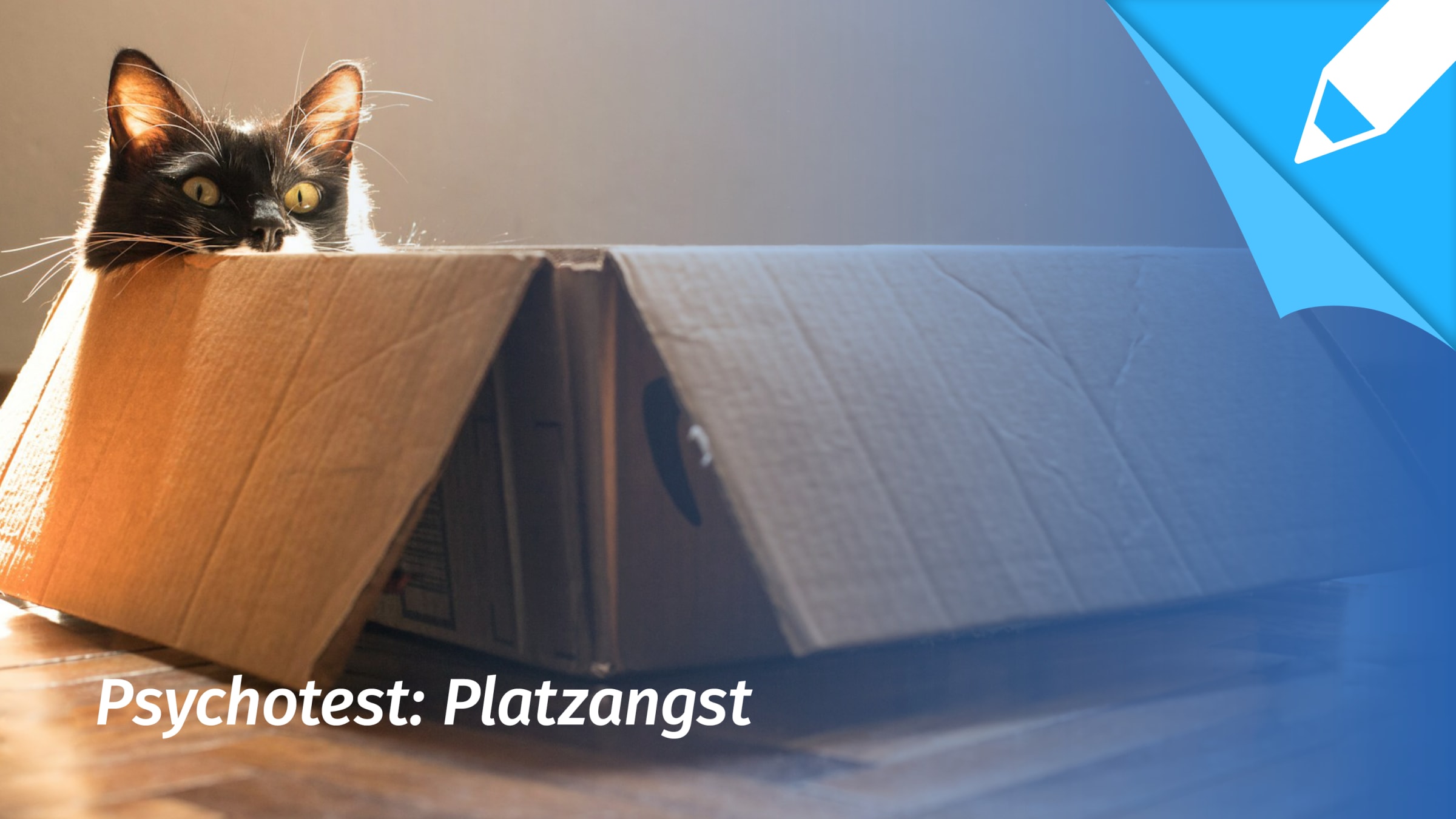 Psychotest Agoraphobie: Leide ich unter Agoraphobie (Platzangst)?