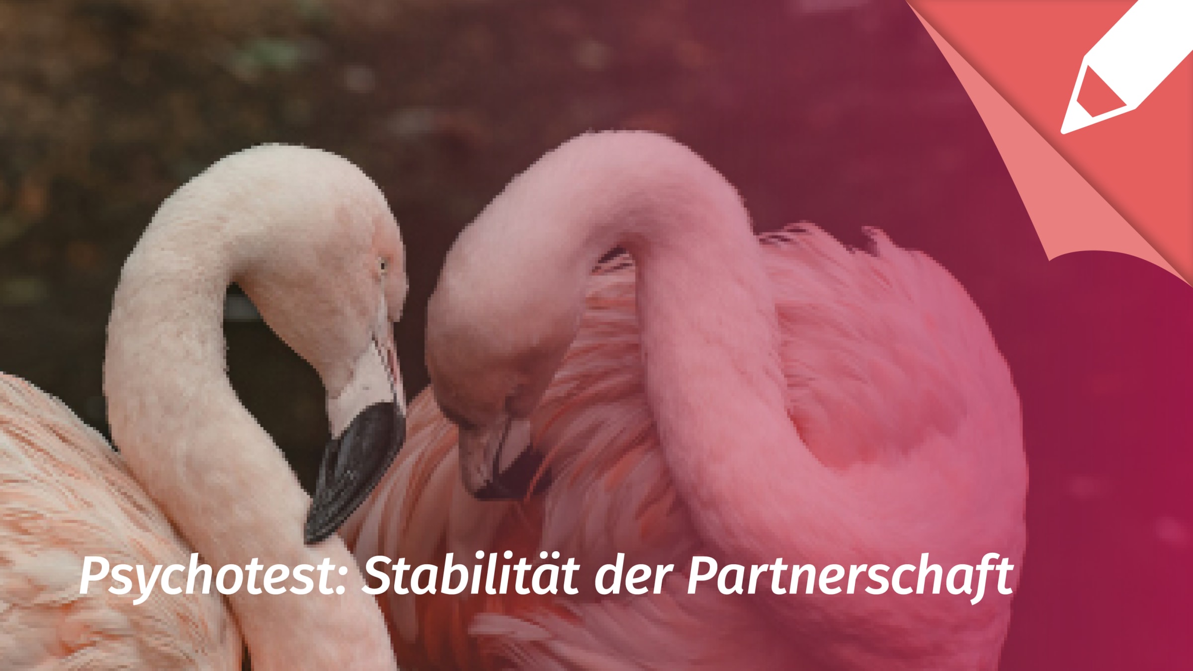 Psychotest: Wie gut ist unsere Partnerschaft?