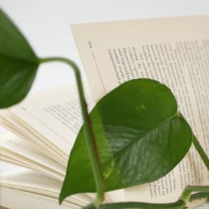 image Zur Seite »unsere Inhalte«