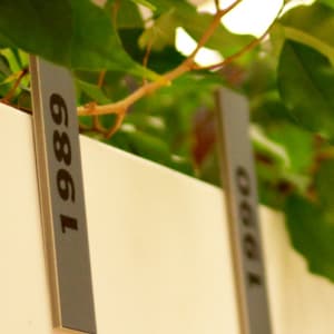 image Zur Seite »unsere Geschichte«