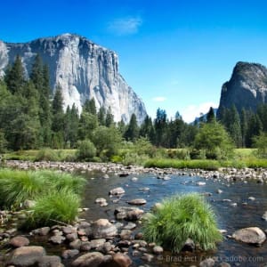 image Beiträge und Publikationen zum Thema Naturschutz