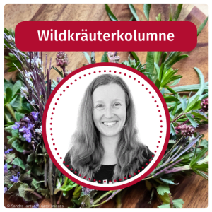 image Alle Beiträge von „Die Wildkräuterkolumne“ entdecken