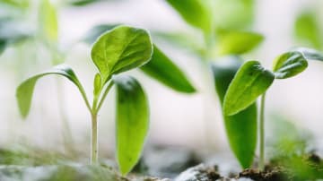 Abschied und Neuanfang – emotionale Übergangssituationen meistern