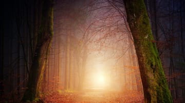 Herbst- und Winterdepression: So bekommst du die saisonal bedingte Depression (SAD) in den Griff