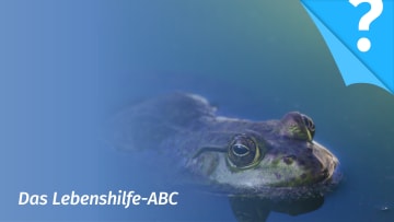 Minderwertigkeitsgefühle: Merkmale und Tipps