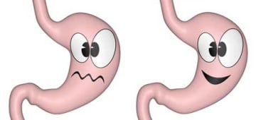 Lebensweisheit in der Geschichte vom Aufstand der Organe