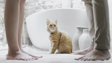 Gründe, die gegen eine Trennung sprechen könnten.