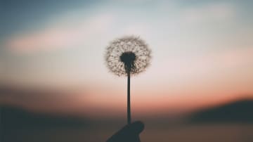 6 Dinge, die helfen, wenn alles schiefläuft