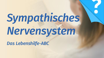 Sympathisches Nervensystem