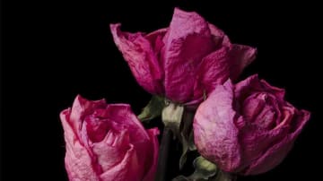 Liebeskummer – 13 Tipps, um Liebeskummer zu überwinden