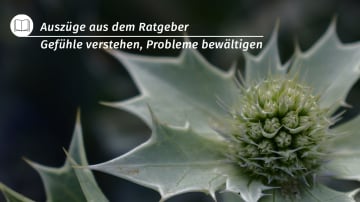 Ratgeber Gefühle verstehen