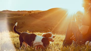 Dankbarkeit im Leben verankern