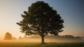 Lebensweisheiten-Sammlung: 15 kluge Anregungen für ein erfülltes Leben