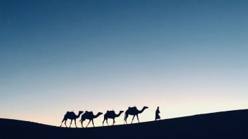 Die Kraft der Wiederholung: Wie du dein Durchhaltevermögen trainieren kannst