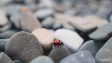 Minderwertigkeitsgefühle und Selbstzweifel: 6 Tipps, wie du sie überwinden kannst