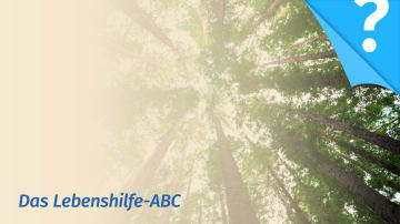 Waldbaden als Entspannungsmethode