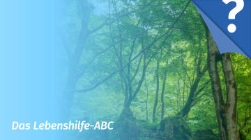 Die positive Wirkung der Natur auf unsere Psyche