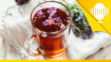 Kranksein ist ein natürlicher Teil unseres Lebens – Podcast #97