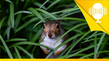 Lass dich von Erwartungen nicht unter Druck setzen – Podcast #99