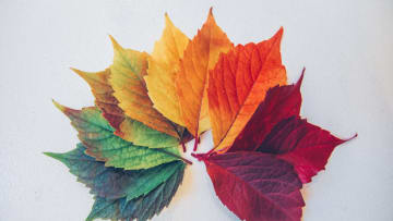 5 Tipps, wie du den Rhythmus der Natur bewusst erlebst und im Gleichgewicht bleibst